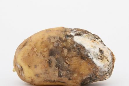 Просроченные продукты: насколько опасны и что с ними делать